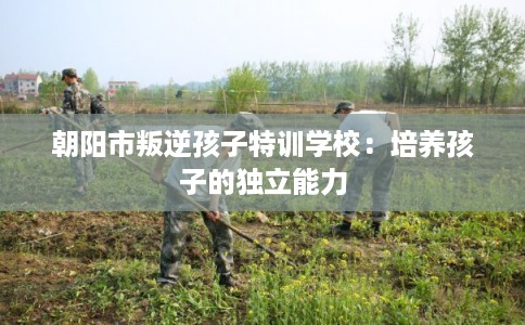 朝阳市叛逆孩子特训学校：培养孩子的独立能力