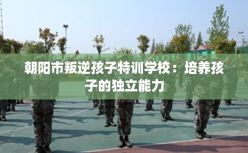 朝阳市叛逆孩子特训学校：培养孩子的独立能力
