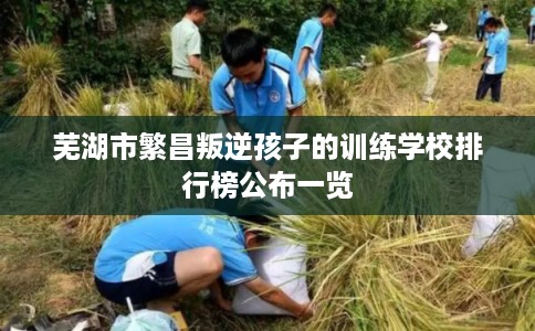 芜湖市繁昌叛逆孩子的训练学校排行榜公布一览