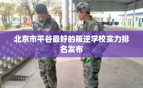 北京市平谷最好的叛逆学校实力排名发布