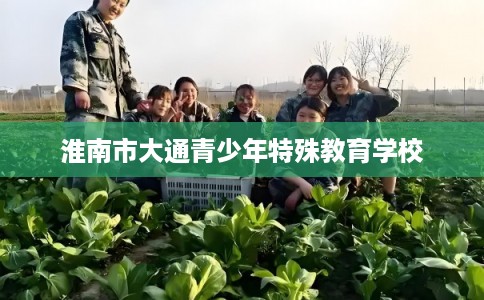 淮南市大通青少年特殊教育学校