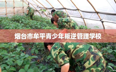 烟台市牟平青少年叛逆管理学校
