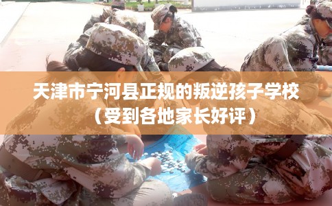 天津市宁河县正规的叛逆孩子学校（受到各地家长好评）