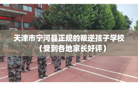天津市宁河县正规的叛逆孩子学校（受到各地家长好评）