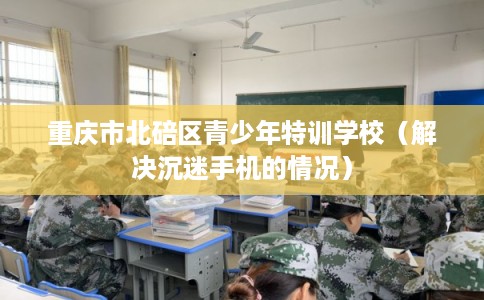重庆市北碚区青少年特训学校（解决沉迷手机的情况）