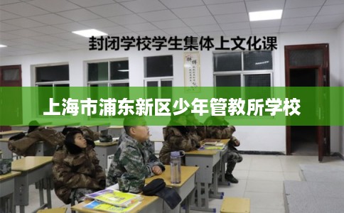 上海市浦东新区少年管教所学校