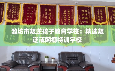 潍坊市叛逆孩子教育学校：精选叛逆戒网瘾特训学校