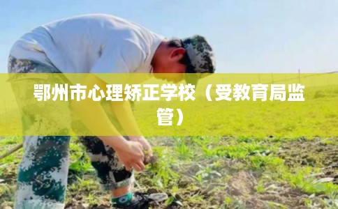 鄂州市心理矫正学校（受教育局监管）