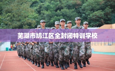 芜湖市鸠江区全封闭特训学校