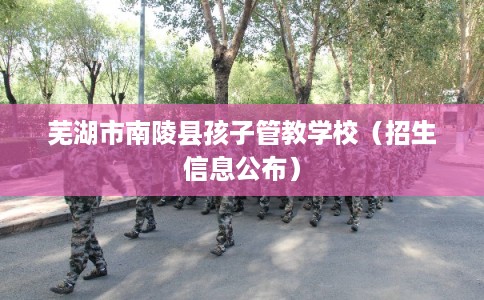芜湖市南陵县孩子管教学校（招生信息公布）