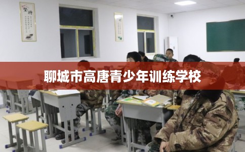 聊城市高唐青少年训练学校