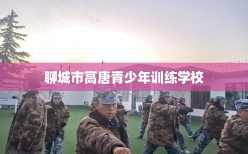 聊城市高唐青少年训练学校