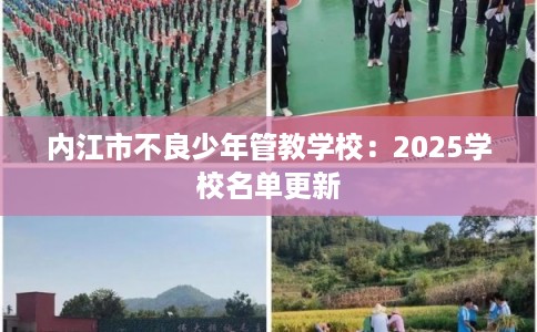内江市不良少年管教学校：2025学校名单更新