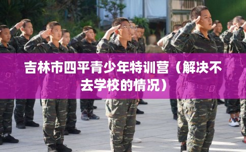 吉林市四平青少年特训营（解决不去学校的情况）