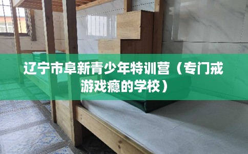 辽宁市阜新青少年特训营（专门戒游戏瘾的学校）