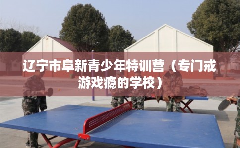 辽宁市阜新青少年特训营（专门戒游戏瘾的学校）