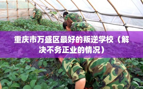 重庆市万盛区最好的叛逆学校（解决不务正业的情况）