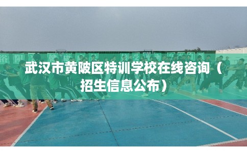 武汉市黄陂区特训学校在线咨询（招生信息公布）