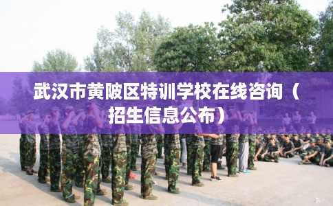 武汉市黄陂区特训学校在线咨询（招生信息公布）
