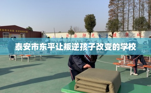 泰安市东平让叛逆孩子改变的学校 泰安市东平让叛逆孩子改变的学校