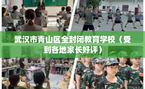 武汉市青山区全封闭教育学校（受到各地家长好评）