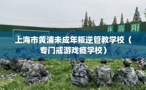 上海市黄浦未成年叛逆管教学校(专门戒游戏瘾学校) 上海市黄浦未成年叛逆管教学校(专门戒游戏瘾学校)