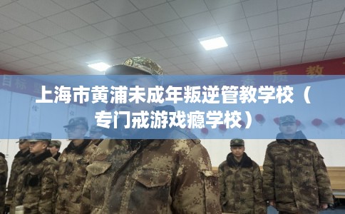 上海市黄浦未成年叛逆管教学校(专门戒游戏瘾学校) 上海市黄浦未成年叛逆管教学校(专门戒游戏瘾学校)