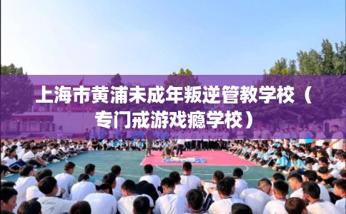 上海市黄浦未成年叛逆管教学校(专门戒游戏瘾学校) 上海市黄浦未成年叛逆管教学校(专门戒游戏瘾学校)
