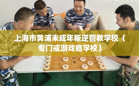上海市黄浦未成年叛逆管教学校(专门戒游戏瘾学校) 上海市黄浦未成年叛逆管教学校(专门戒游戏瘾学校)