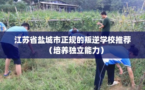 江苏省盐城市正规的叛逆学校推荐(培养独立能力) 江苏省盐城市正规的叛逆学校推荐(培养独立能力)