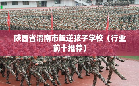 陕西省渭南市叛逆孩子学校(行业前十推荐) 陕西省渭南市叛逆孩子学校(行业前十推荐)