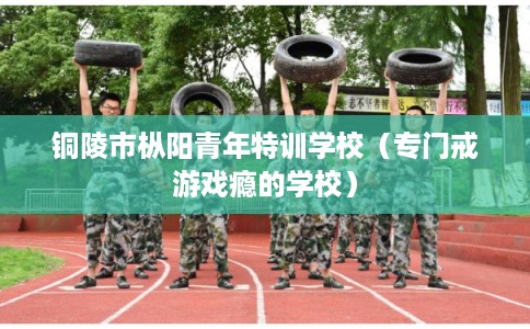 铜陵市枞阳青年特训学校(专门戒游戏瘾的学校) 铜陵市枞阳青年特训学校(专门戒游戏瘾的学校)