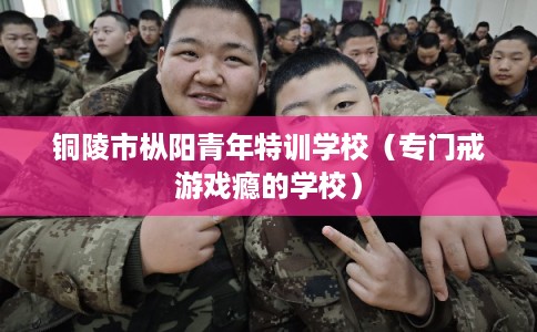 铜陵市枞阳青年特训学校(专门戒游戏瘾的学校) 铜陵市枞阳青年特训学校(专门戒游戏瘾的学校)