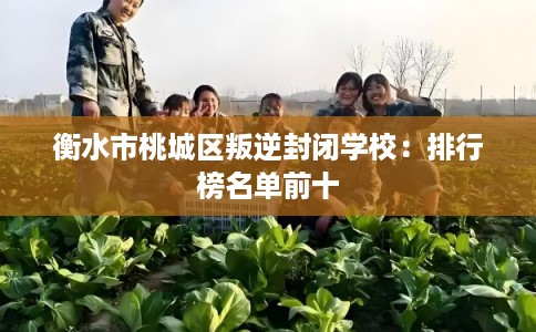 衡水市桃城区叛逆封闭学校：排行榜名单前十