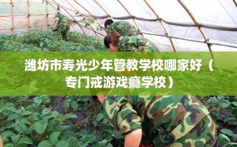 潍坊市寿光少年管教学校哪家好(专门戒游戏瘾学校) 潍坊市寿光少年管教学校哪家好(专门戒游戏瘾学校)