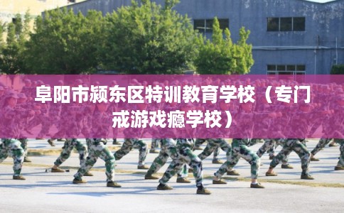 阜阳市颍东区特训教育学校(专门戒游戏瘾学校) 阜阳市颍东区特训教育学校(专门戒游戏瘾学校)
