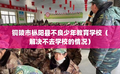 铜陵市枞阳县不良少年教育学校（解决不去学校的情况）