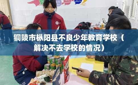 铜陵市枞阳县不良少年教育学校（解决不去学校的情况）