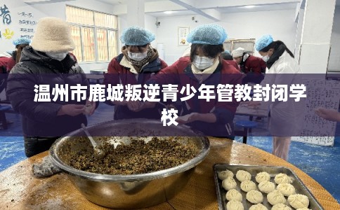 温州市鹿城叛逆青少年管教封闭学校