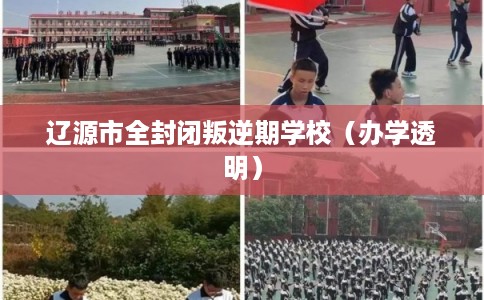 辽源市全封闭叛逆期学校(办学透明) 辽源市全封闭叛逆期学校(办学透明)