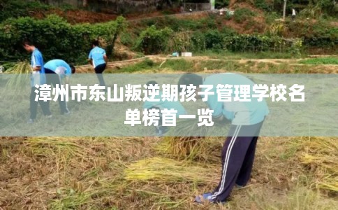 漳州市东山叛逆期孩子管理学校名单榜首一览 漳州市东山叛逆期孩子管理学校名单榜首一览