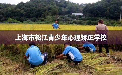 上海市松江青少年心理矫正学校 上海市松江青少年心理矫正学校