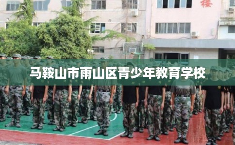 马鞍山市雨山区青少年教育学校