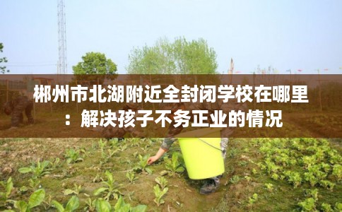 郴州市北湖附近全封闭学校在哪里:解决孩子不务正业的情况 郴州市北湖附近全封闭学校在哪里:解决孩子不务正业的情况