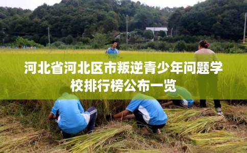 河北省河北区市叛逆青少年问题学校排行榜公布一览