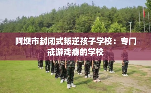 阿坝市封闭式叛逆孩子学校：专门戒游戏瘾的学校