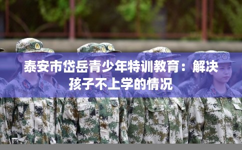 泰安市岱岳青少年特训教育：解决孩子不上学的情况