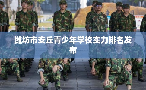 潍坊市安丘青少年学校实力排名发布