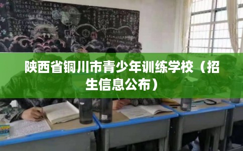陕西省铜川市青少年训练学校(招生信息公布) 陕西省铜川市青少年训练学校(招生信息公布)