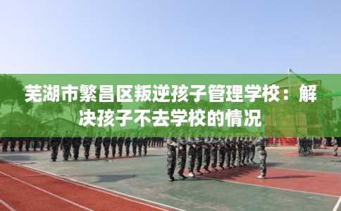 芜湖市繁昌区叛逆孩子管理学校:解决孩子不去学校的情况 芜湖市繁昌区叛逆孩子管理学校:解决孩子不去学校的情况